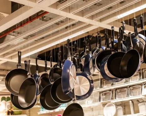 Non-Stick Eating, Garlic Milk and Striped Cattle Excel at 2025 Alternative Science Awards